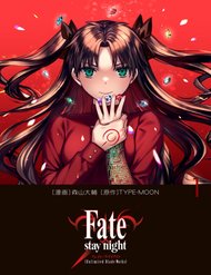 Truyện Tranh Fate/Stay Night: Unlimited Blade Works